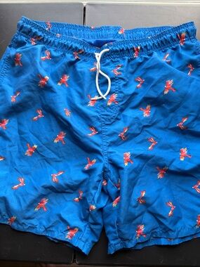 Old Navy Blue Swim Trunks with Red Parrot Print